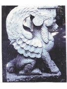 The Griffen Base