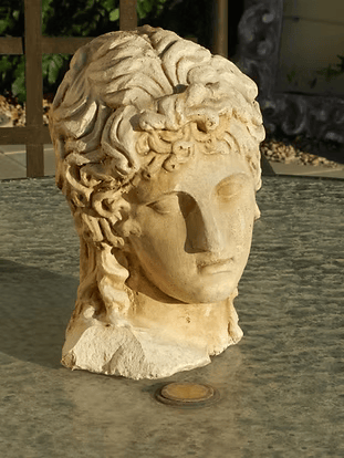Adonis Head