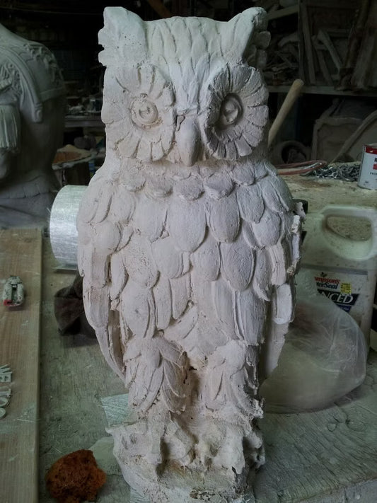 The Wise Owl