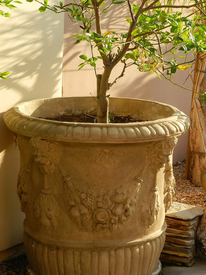 English Lion Planter