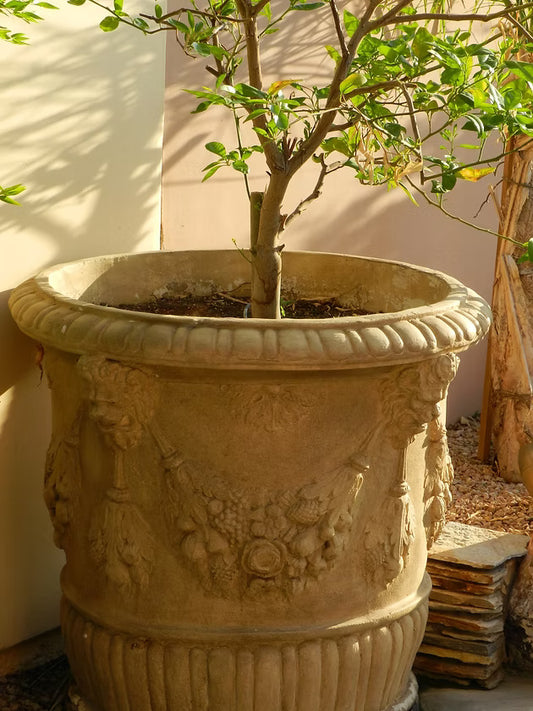 English Lion Planter
