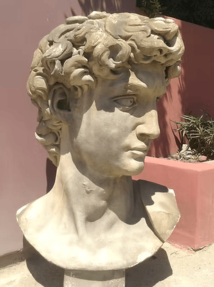 The David Head