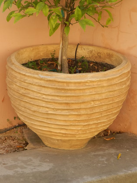 Greek Water Jars- Med
