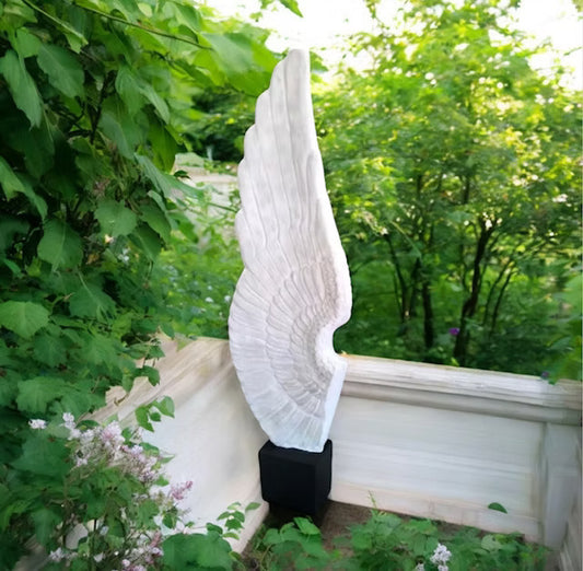 Wings